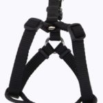 Belly Bands Dog Housebreaking
