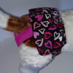 Belly Bands Dog Housebreaking