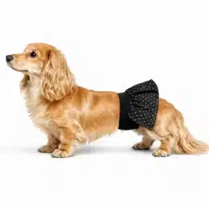 female dog diapers belly band - BellyBands.net female dog diaper for dogs in heat or housebreaking