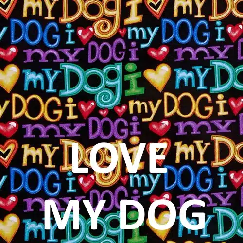 male dog belly bands love - BellyBands.net I Love My Dog print fabric for male dog housebreaking diapers.