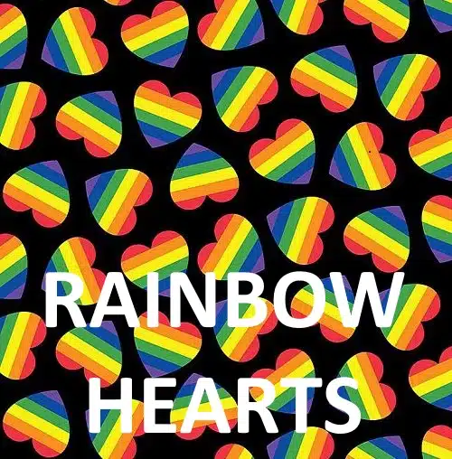 male dog belly bands rainbow hearts - BellyBands.net Rainbow Hearts print fabric for male dog housebreaking diapers.