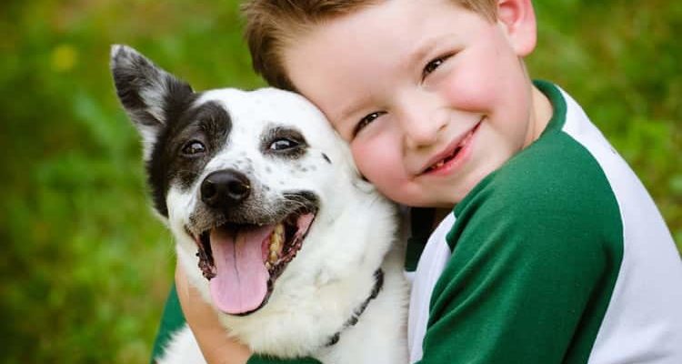 A boy hugging his dog is the photo on a dog food recall page.