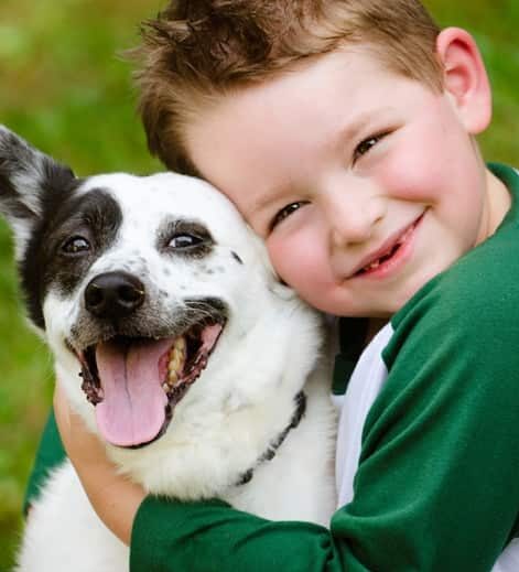 A boy hugging his dog using belly bands for dogs