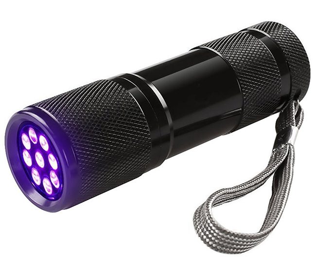 Find Dog Pee with Black Light Find Dog Pee with Black Light