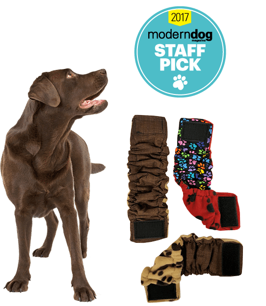 Belly bands for dogs