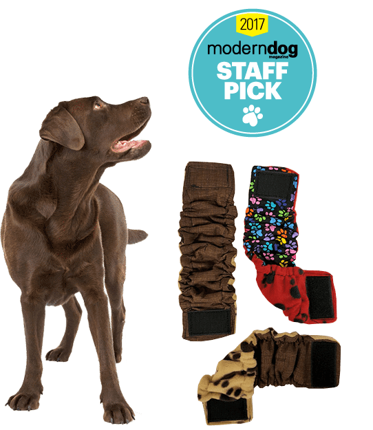 Belly bands for dogs Belly bands for dogs