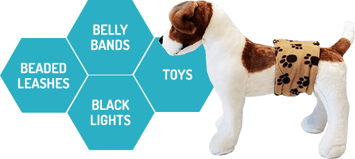 Bellybands.net Dog Belly Bands