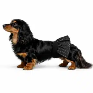 Belly Bands for girl dog wetting and heat.