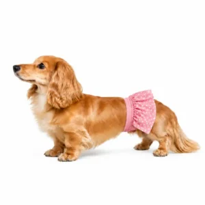 female dog with pink dog diaper belly band home page - BellyBands.net female dog with pink dot dog diaper belly band for home page
